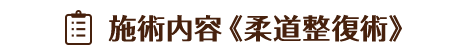施術内容《柔道整復術》