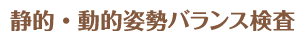 静的・動的姿勢バランス検査